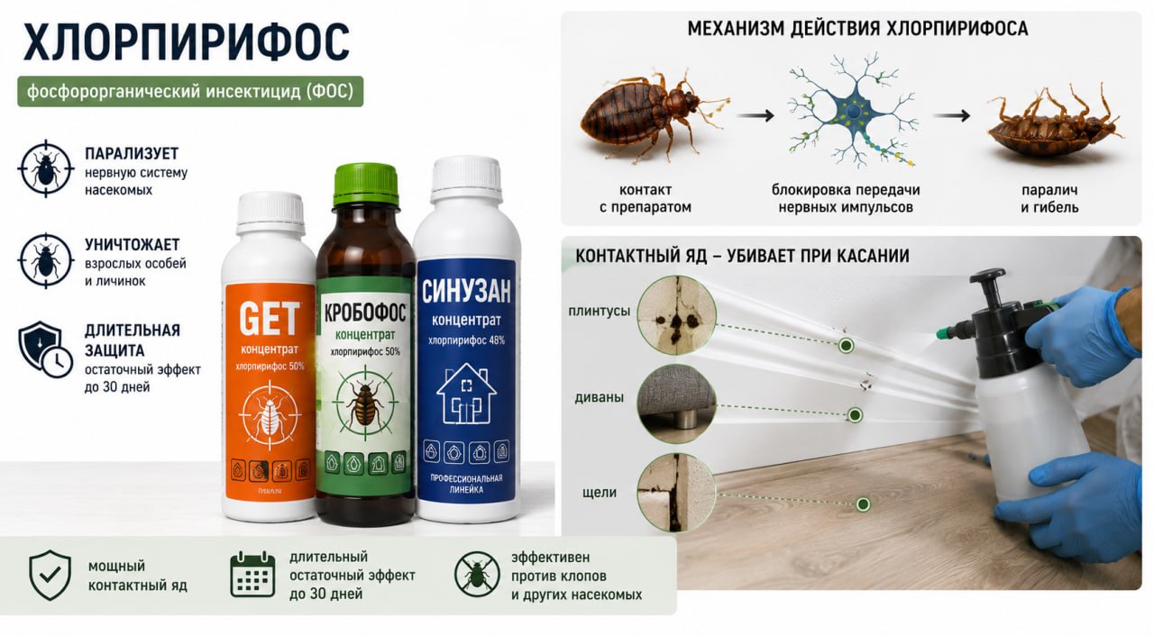 Хлорпирифос от клопов